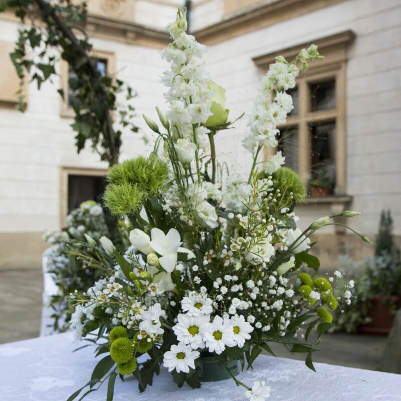 WhatsApp Image 2026-03-10 at 11.48.12 29